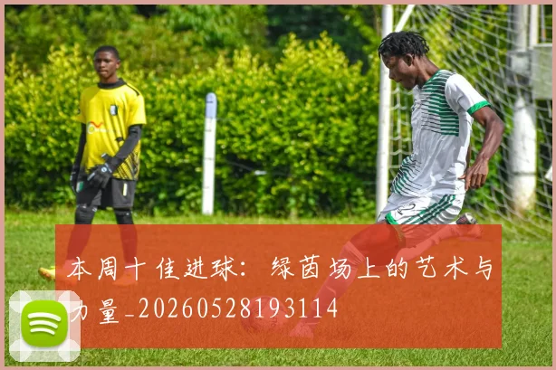 本周十佳进球：绿茵场上的艺术与力量_20260528193114