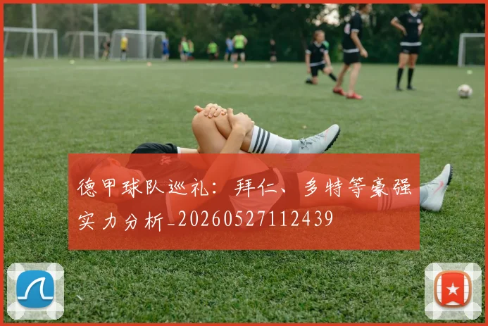 德甲球队巡礼：拜仁、多特等豪强实力分析_20260527112439