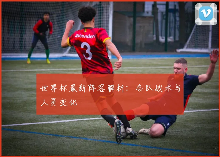 世界杯最新阵容解析：各队战术与人员变化