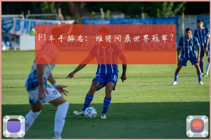 F1车手排名：谁将问鼎世界冠军？