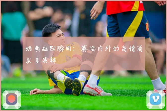 姚明幽默瞬间:赛场内外的高情商发言集锦
