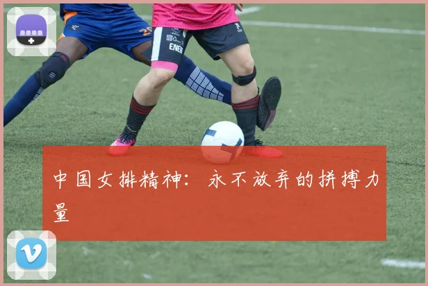 中国女排精神：永不放弃的拼搏力量